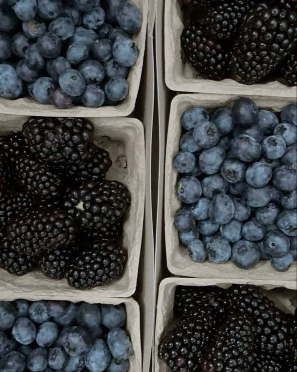 indigo ₊˚♡ tweet media