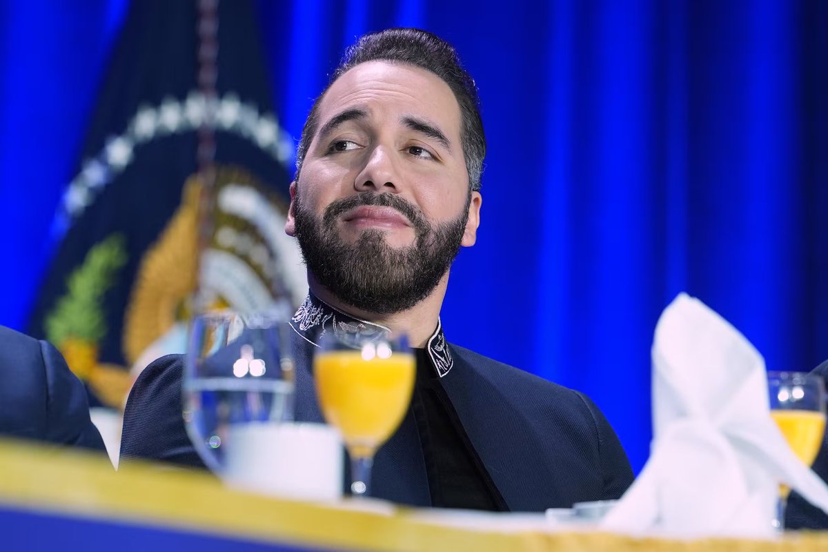 Rafael Filizzola tweet media