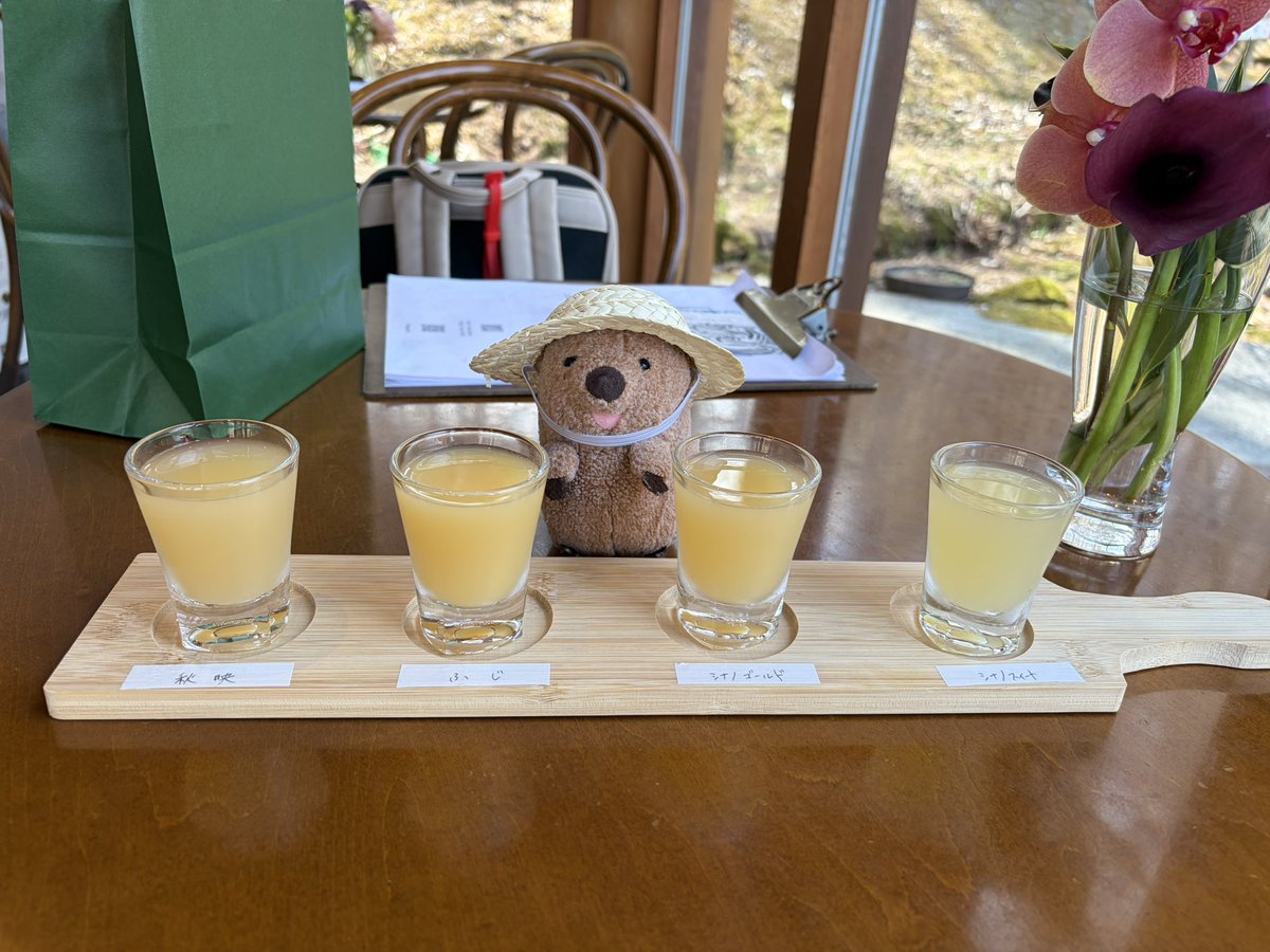 wonchan_donguri's tweet photo. 飲みくらべだよっ( ´ᴥ` )🍎
#ぬい活 
#ぬい撮り https://t.co/HLucSdw1KO