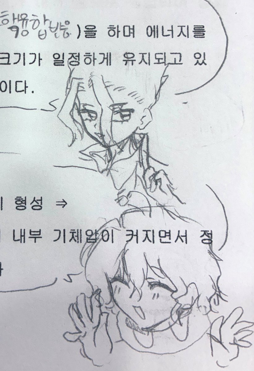 정또치 tweet media