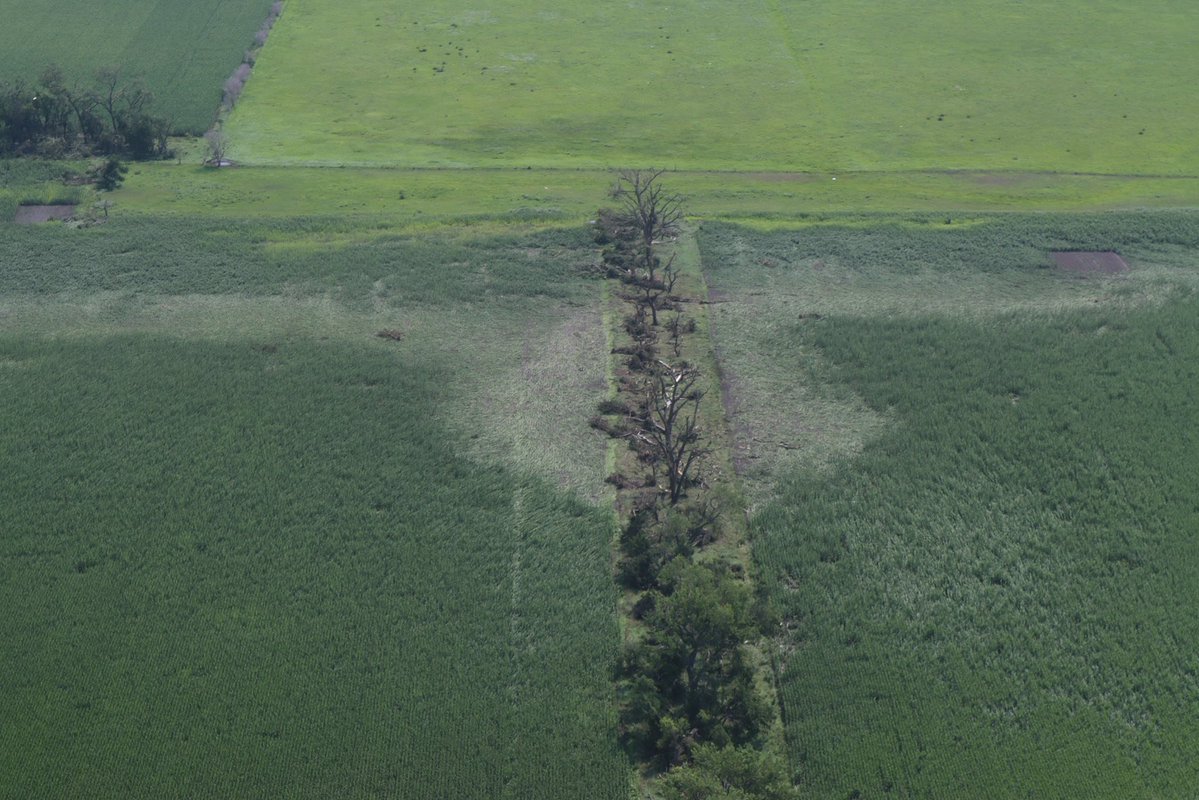 Sekai Chandra tweet media