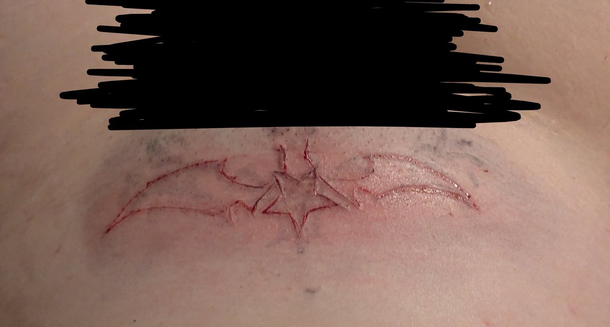 Kitty ☆ tweet media