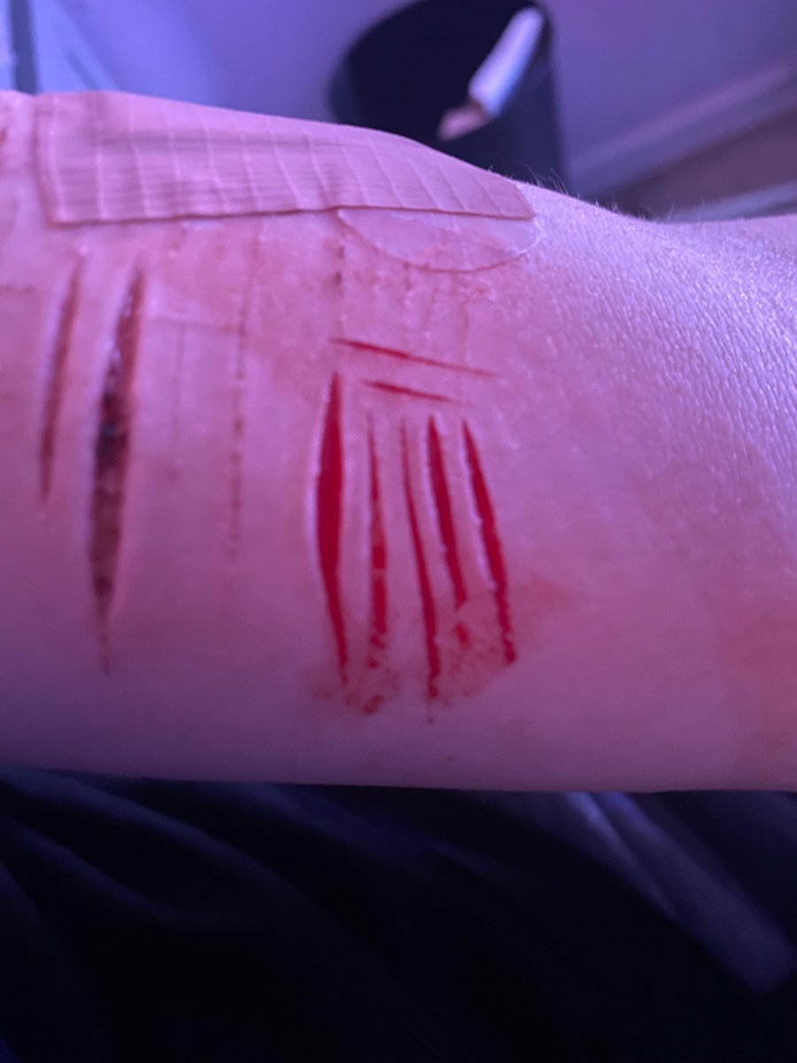 Dark Age Dazai of SHEDTWT tweet media