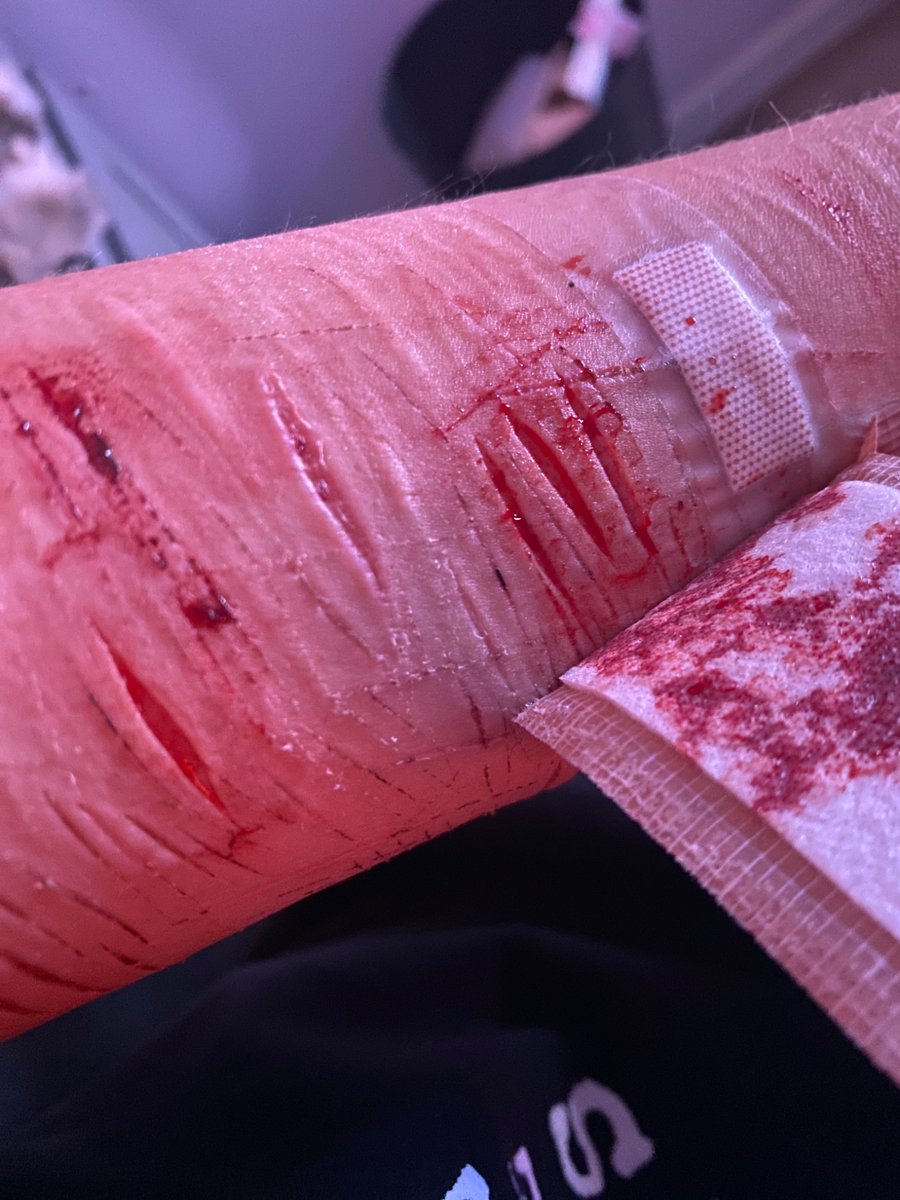 Dark Age Dazai of SHEDTWT tweet media