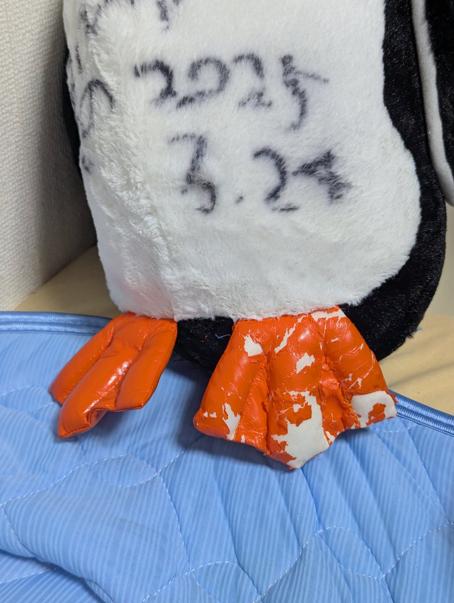 まりお公（人生常時金欠） tweet media