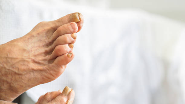 Jeff F🅰️rrell🚁 tweet media