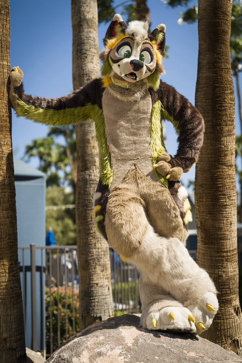 Dire Walf tweet media