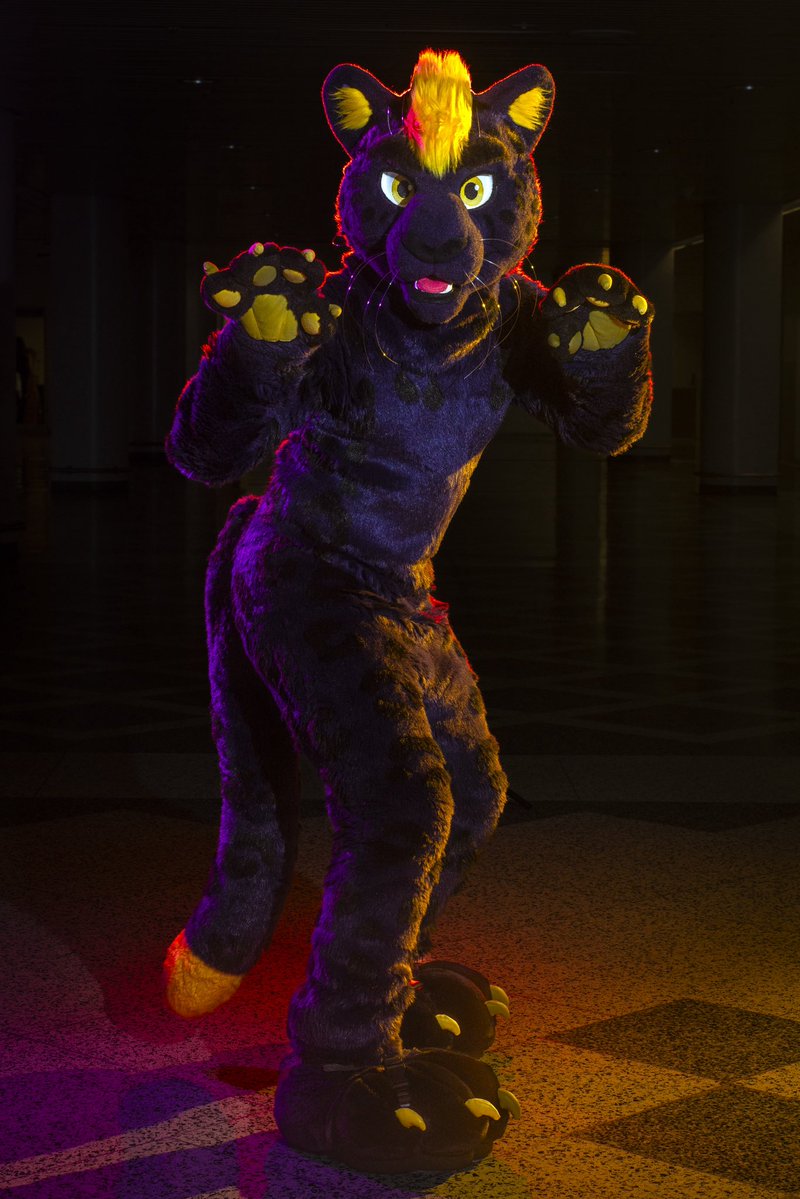 Dire Walf tweet media