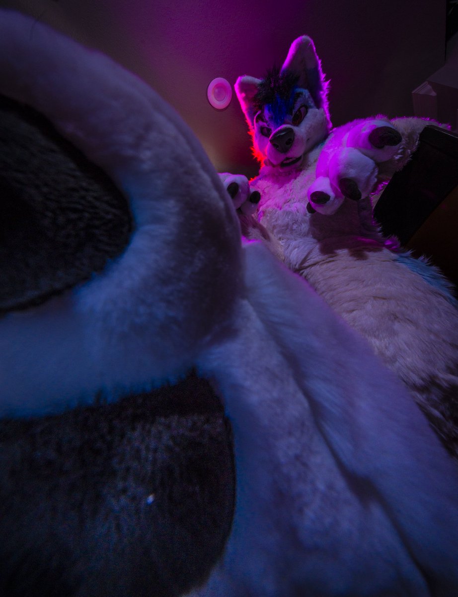 Dire Walf tweet media