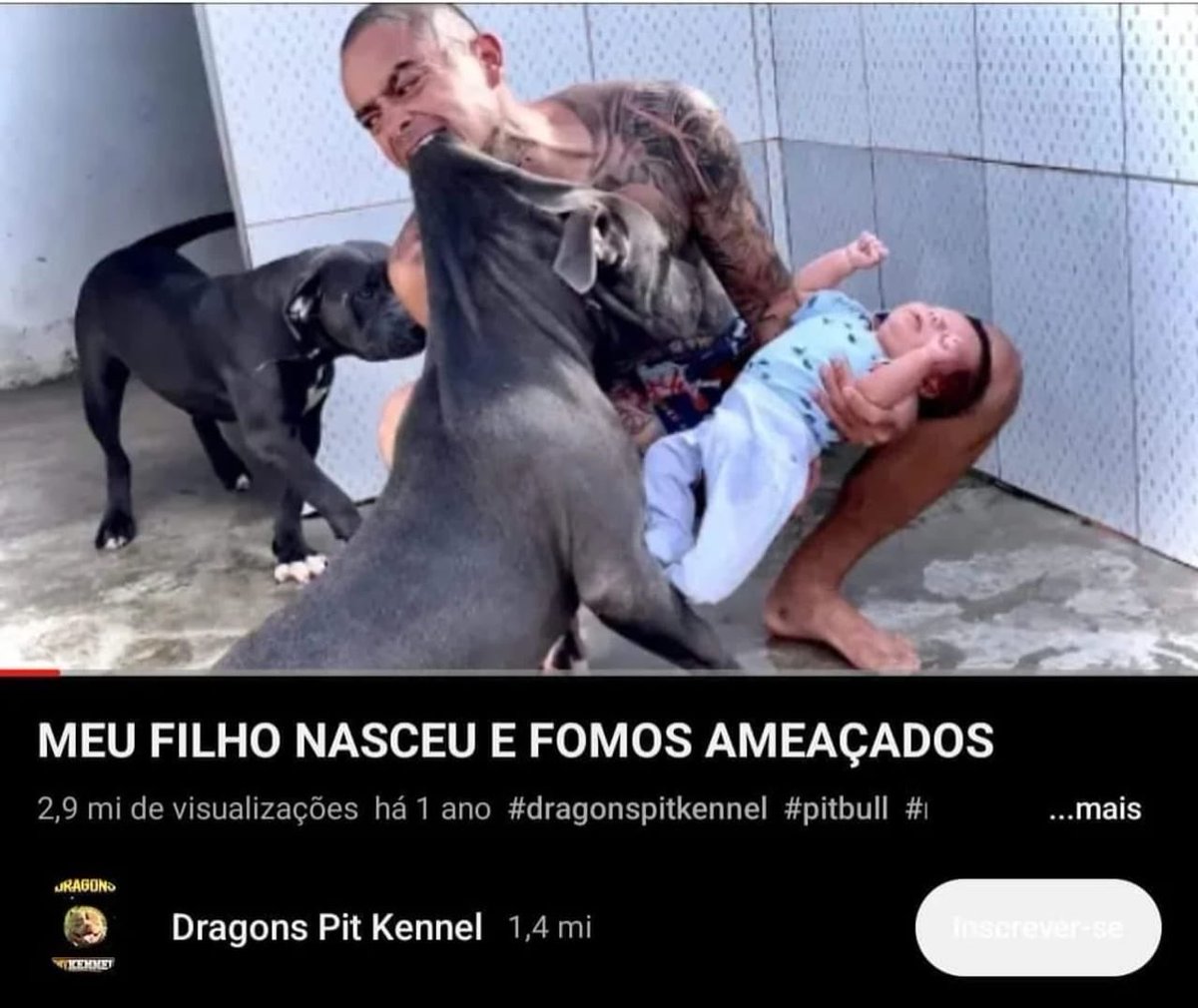 REAL VECK 👑 tweet media