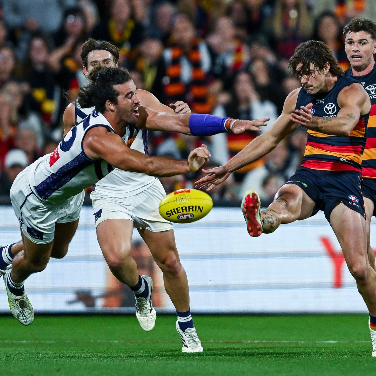 freodockers's tweet photo. "I was looking at the bench midway through that last quarter..."

Alex Pearce nearly wasn't even on the field in the final moments of Friday's nail-biter.

READ → https://t.co/4ZKr0Obgw2

#foreverfreo https://t.co/SE8m4FvFkr
