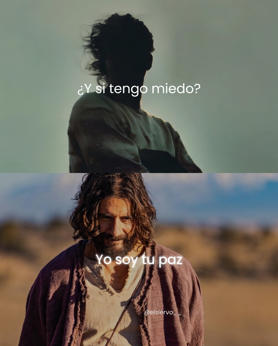 el Siervo (@elsiervo__) on Twitter photo 