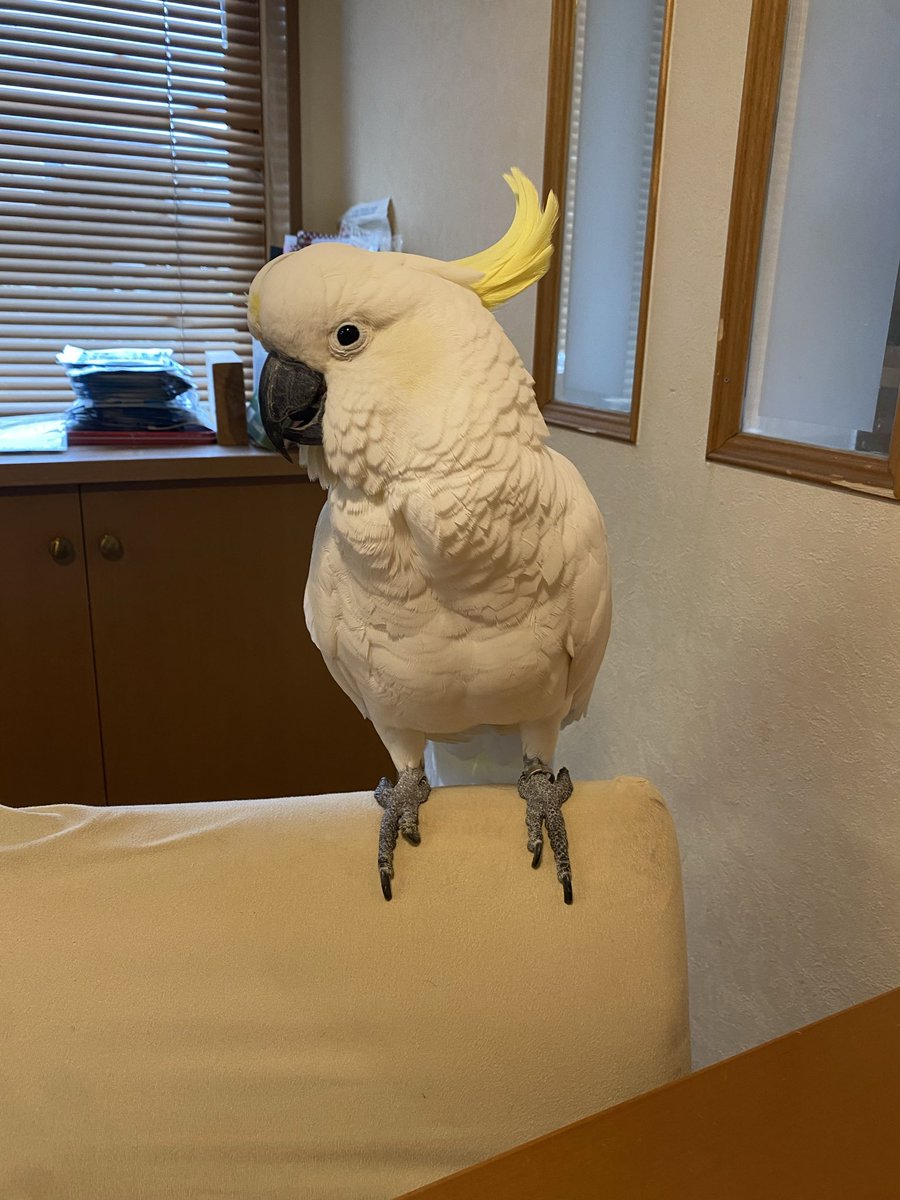 理事長 tweet media