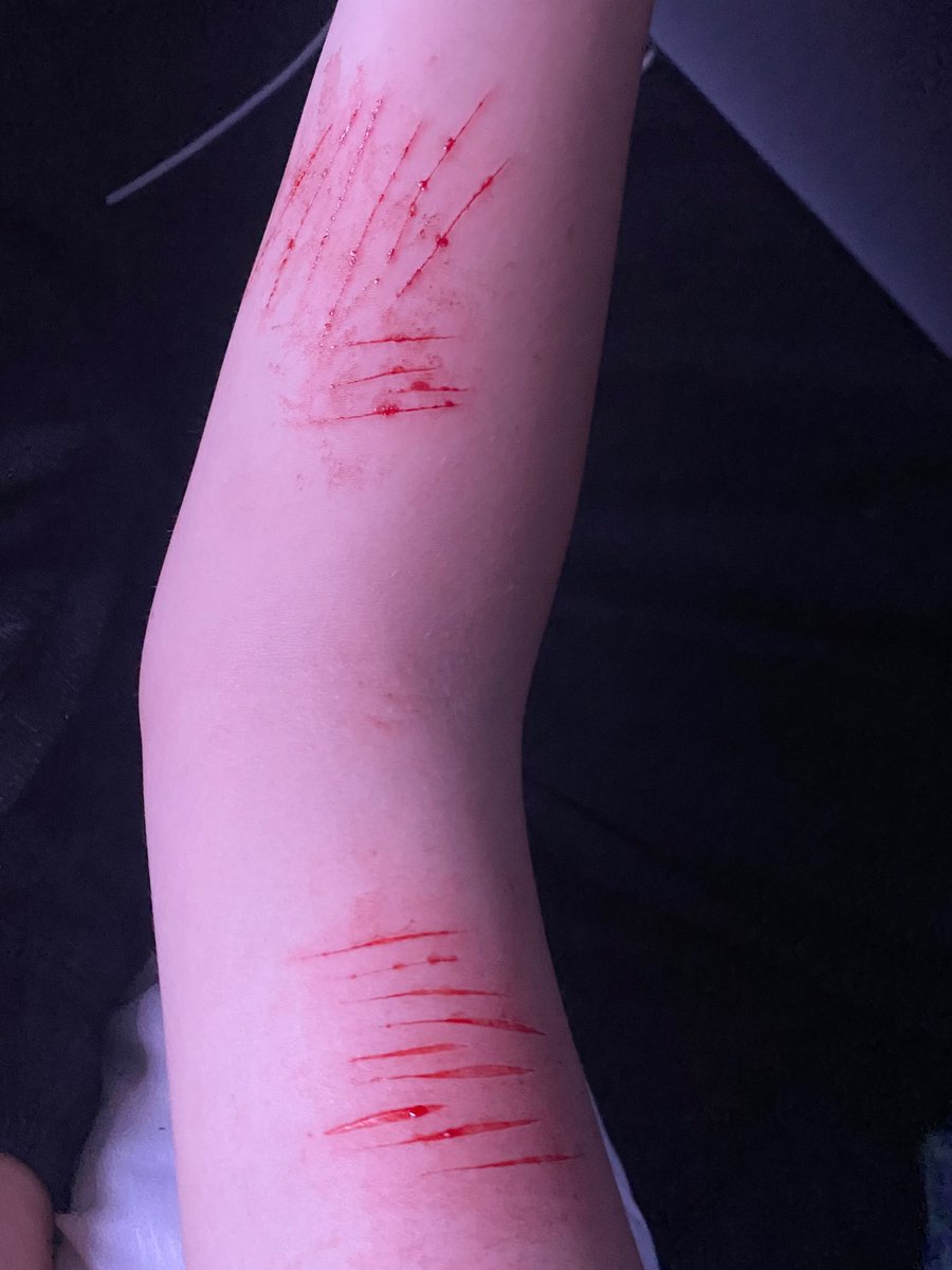 Dark Age Dazai of SHEDTWT tweet media