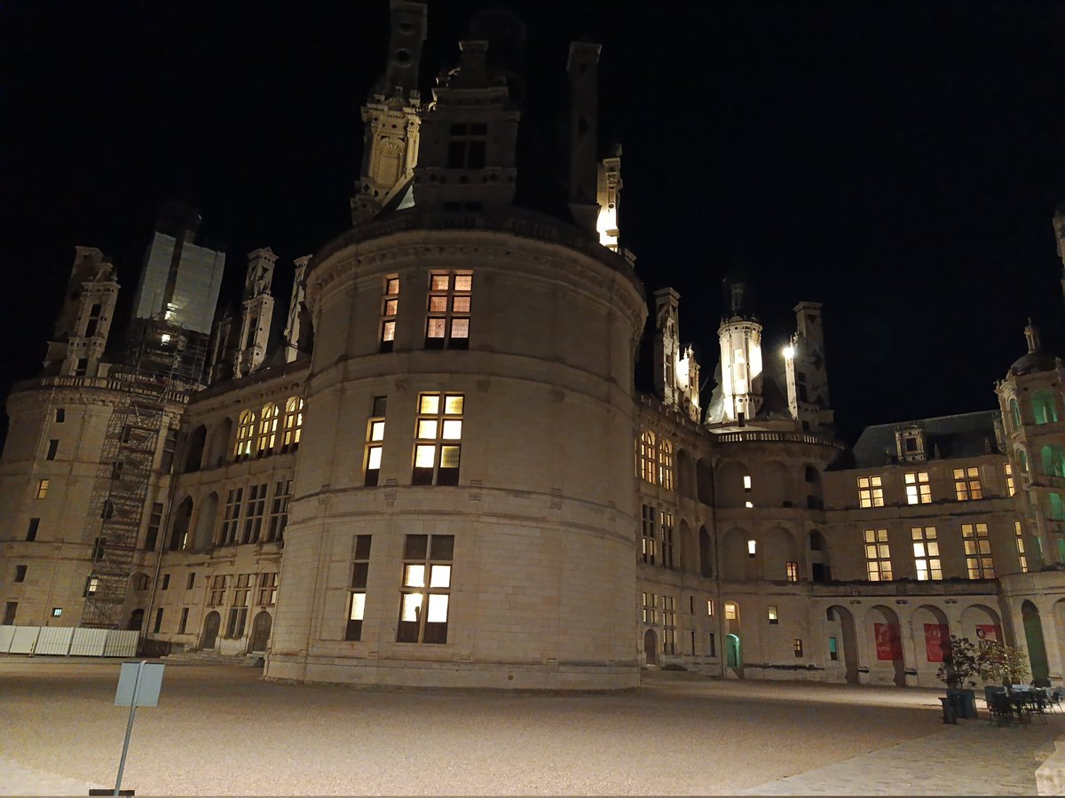 Le nez de Lana 🇯🇵 tweet media