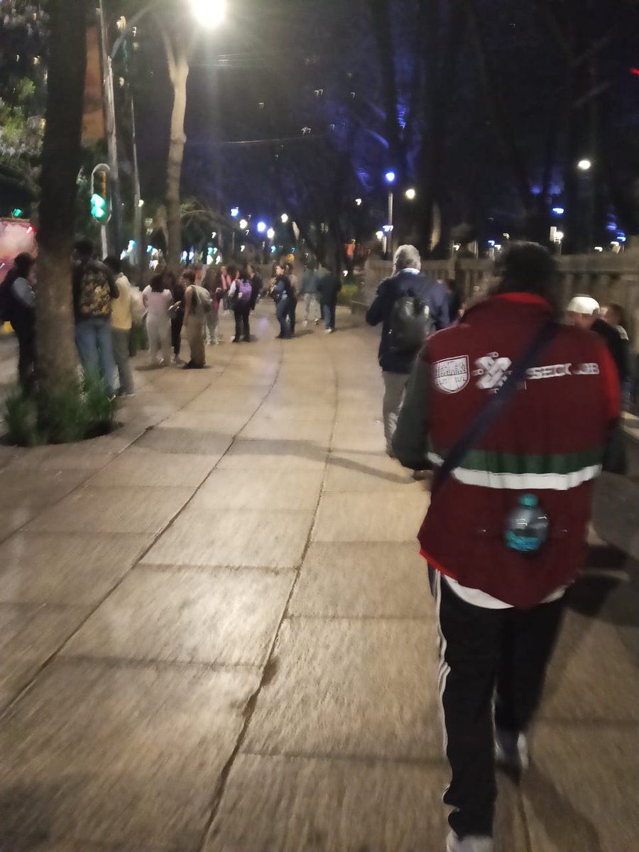 Subsecretaría de Programas Alcaldías Ordenamiento tweet media