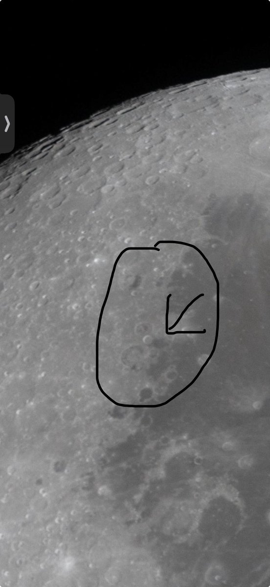 Jax From The Future tweet media