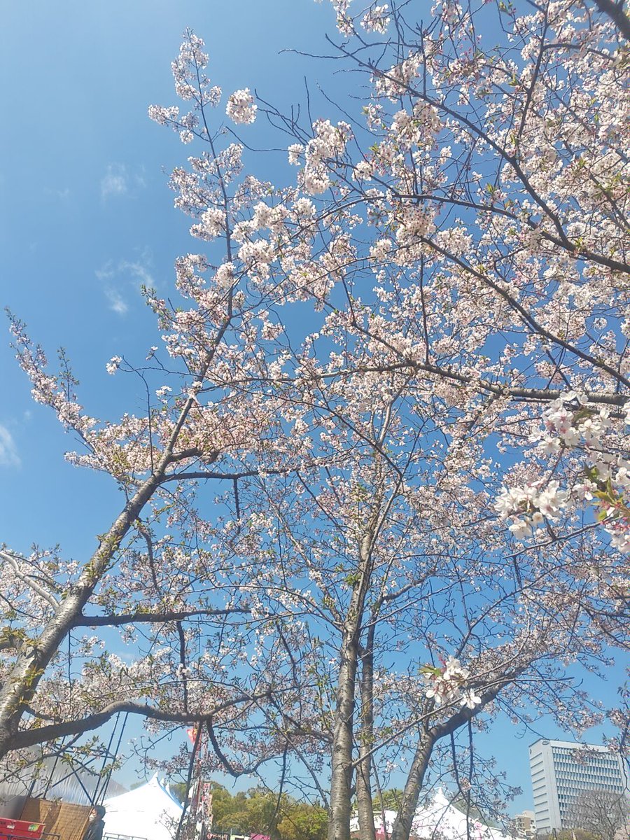 マサトシ tweet media