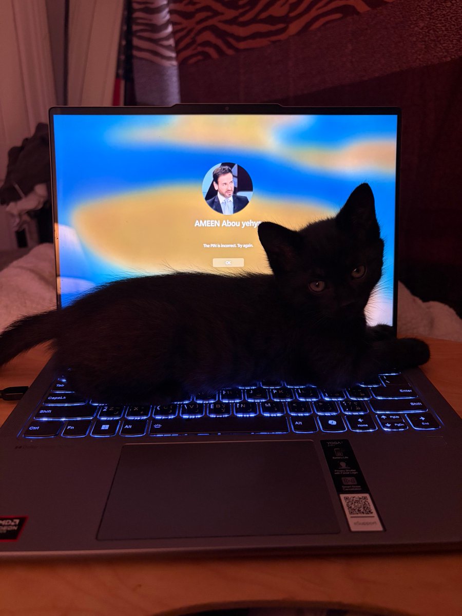 AMEEN A. Y. tweet media