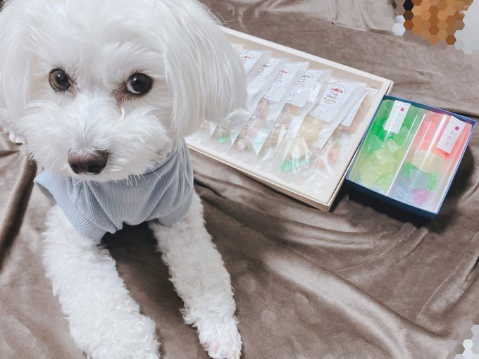 にやすけが誕生日プレゼントくれたよ～全部好きなやつでうれしい～～🥰🥰 