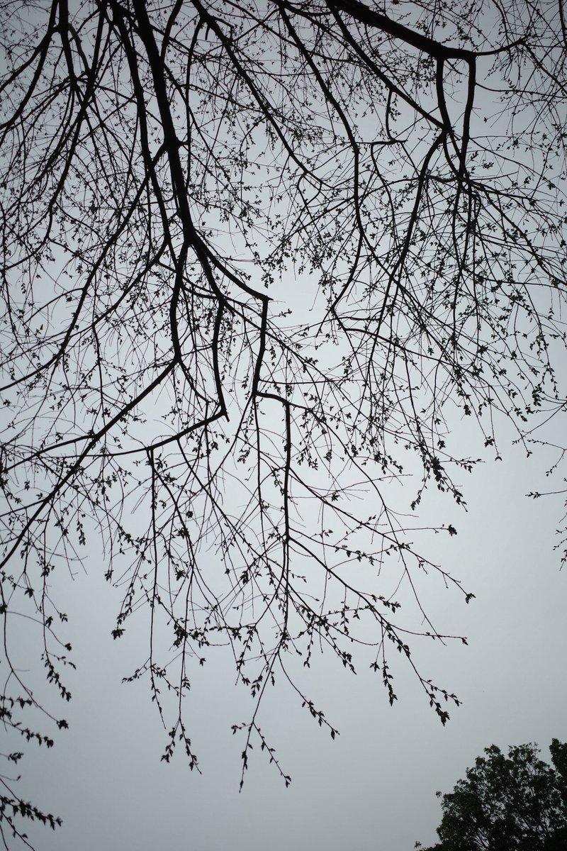 たくさんの“いつか”に想いを馳せる
ありがとう