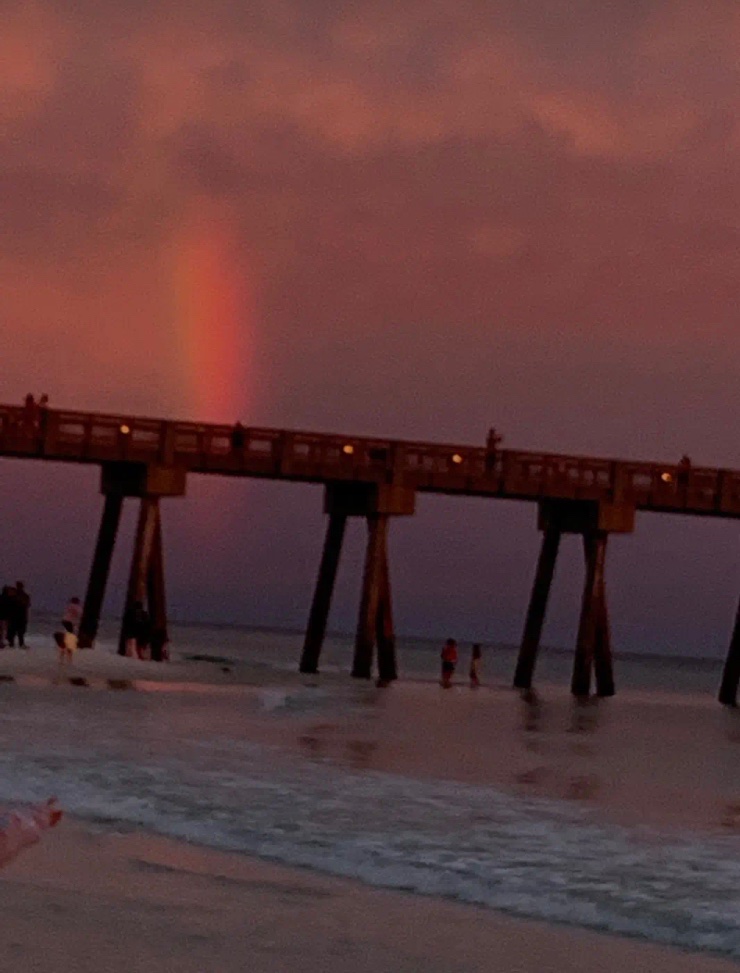 Wendy W ✝️💐🌿🌷🌿🌷🌿🌷 tweet media