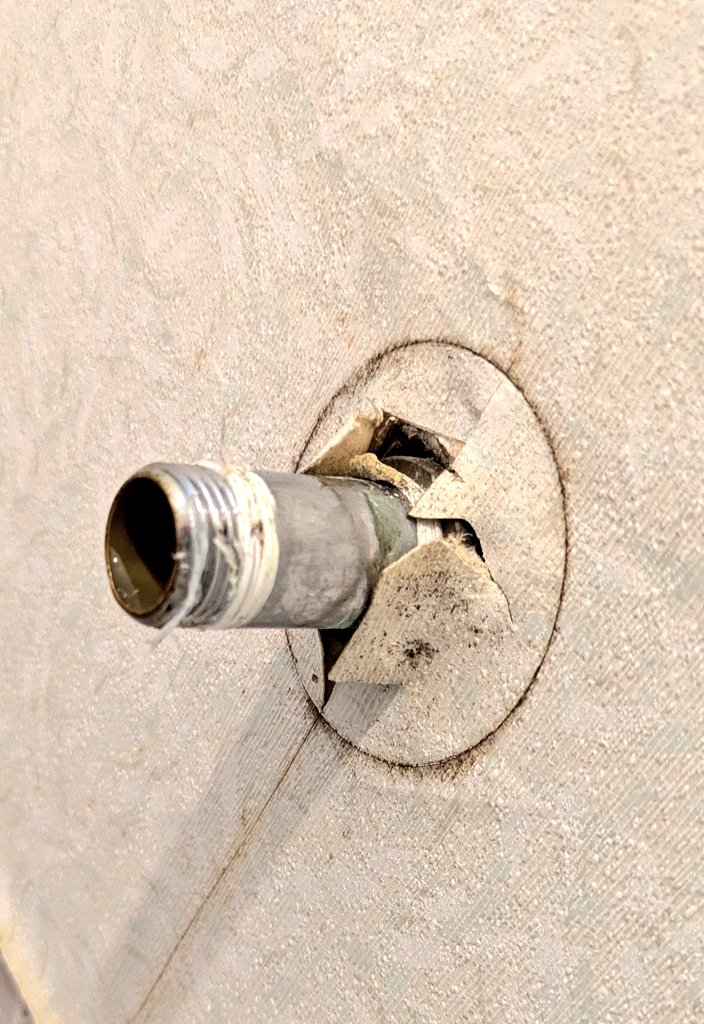 トイレ屋🚽へっちゃん tweet media