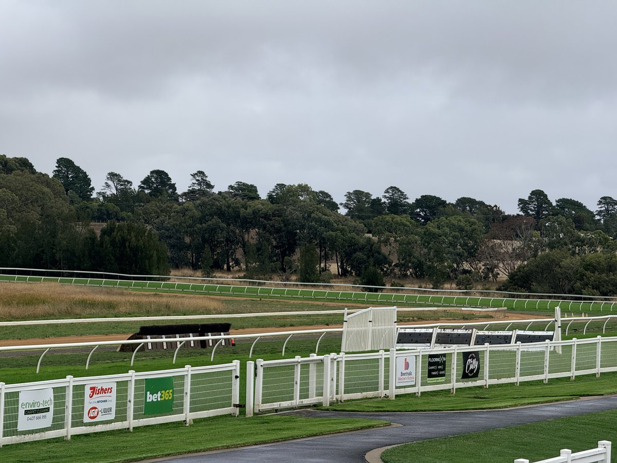 川上鉱介 Kosi Kawakami tweet media