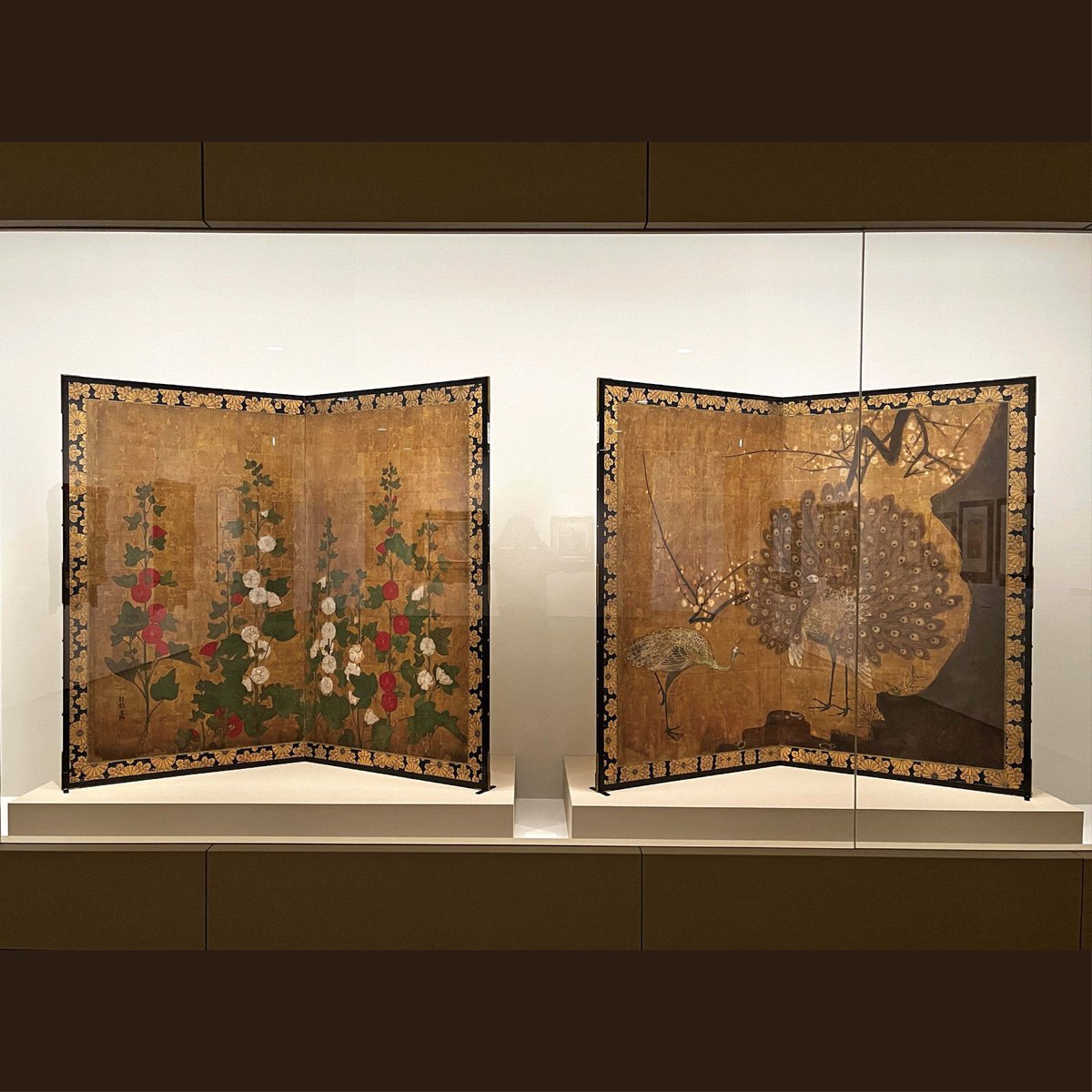 展示替えしました！🌺🦚/ 「#美の新地平」展では、昨日展示替えを完了