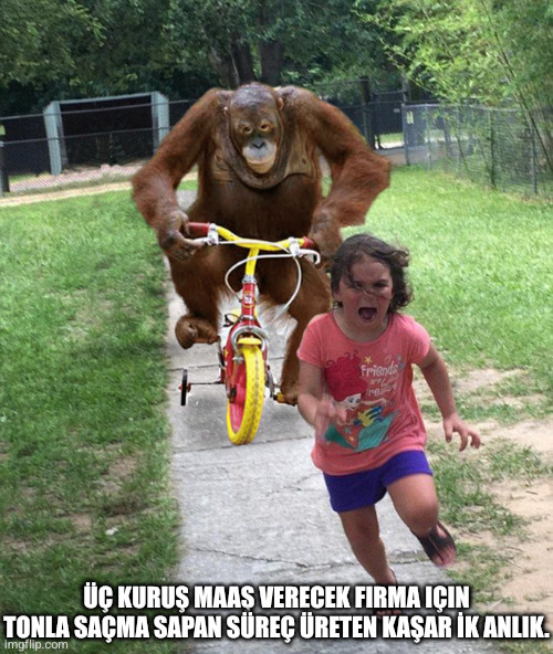 Tedaryum tweet media