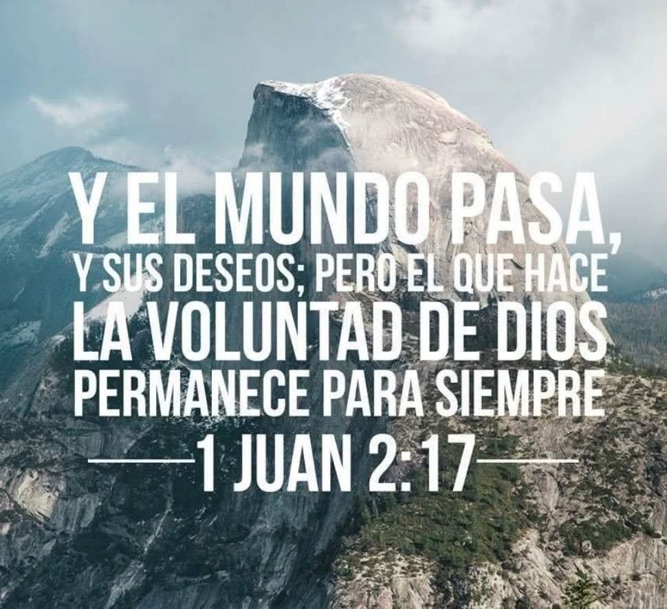 Blasko-Lavayen🇮🇱🇪🇨 tweet media