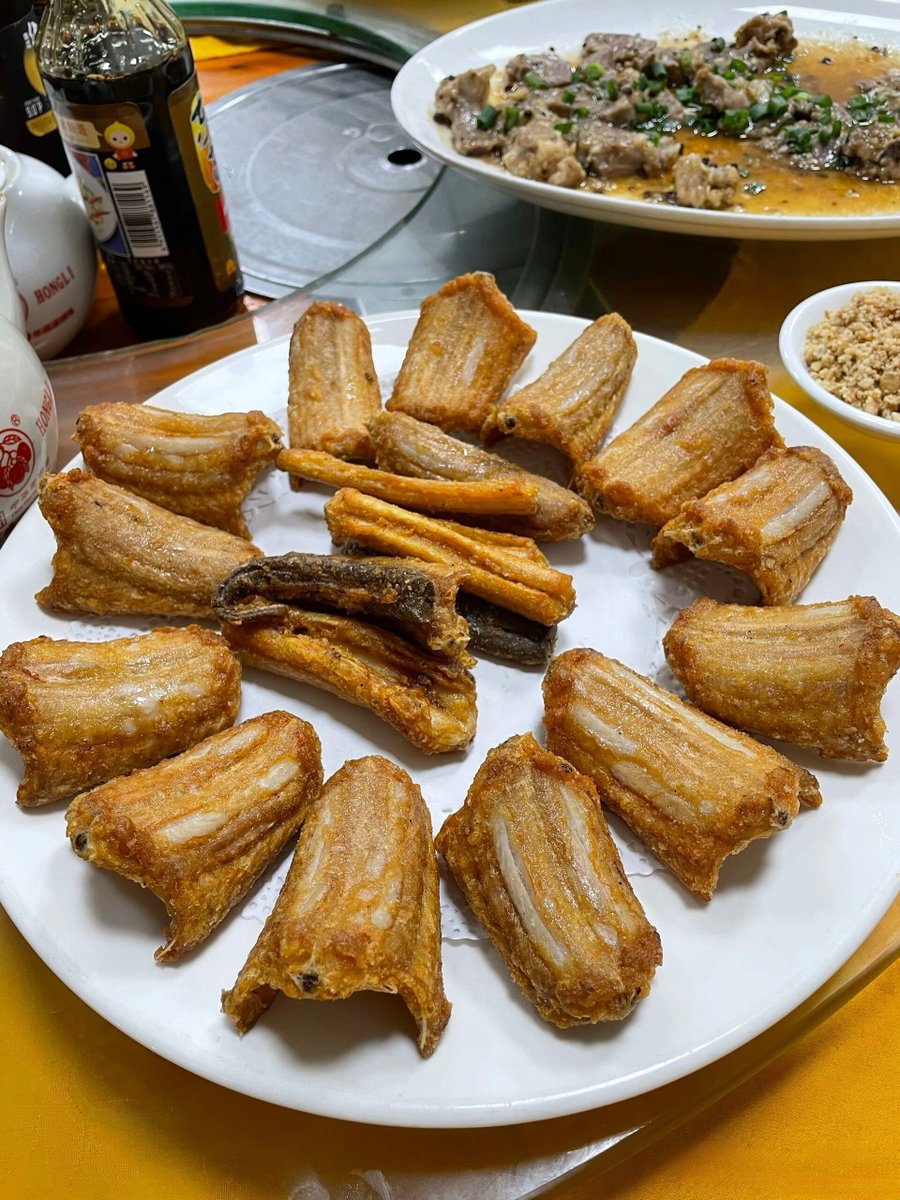 湾区搜游记 tweet media