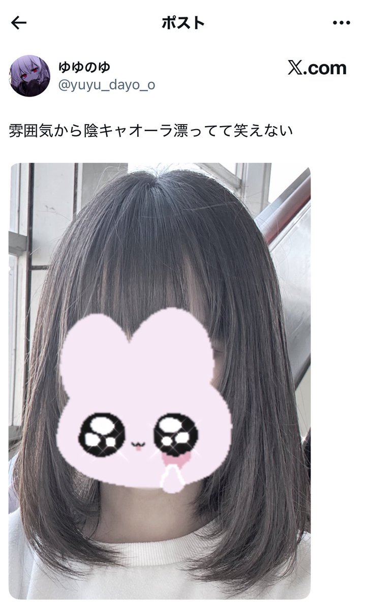  ︎︎ tweet media