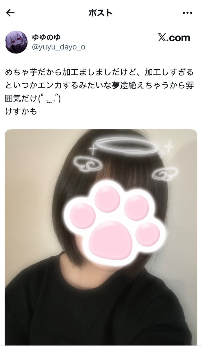  ︎︎ tweet media