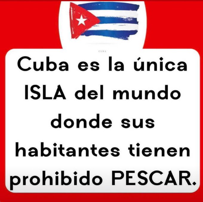 @SOS_RIO tweet media