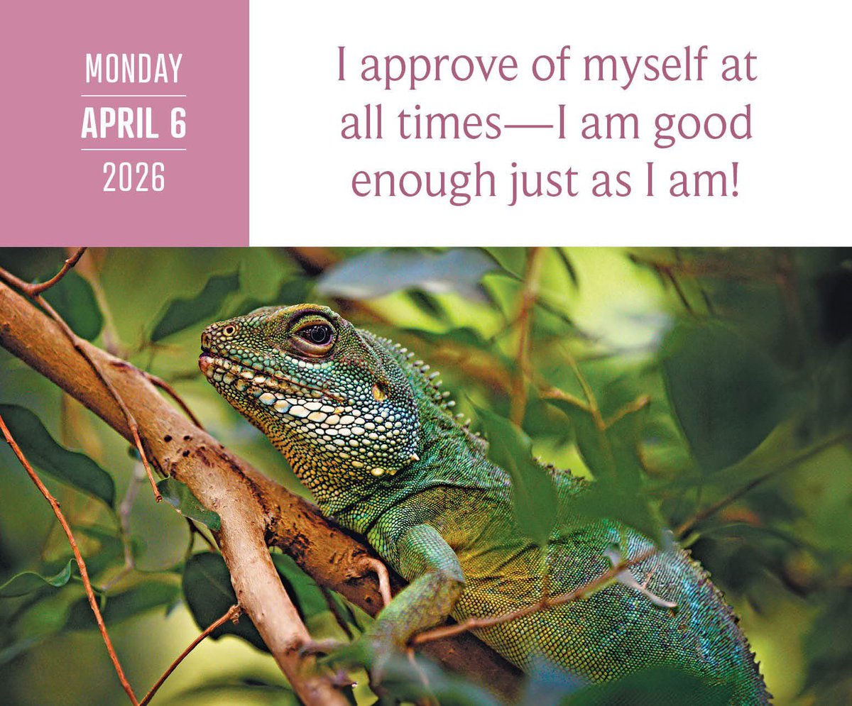 Ami Valladares  🧙‍♂️ tweet media