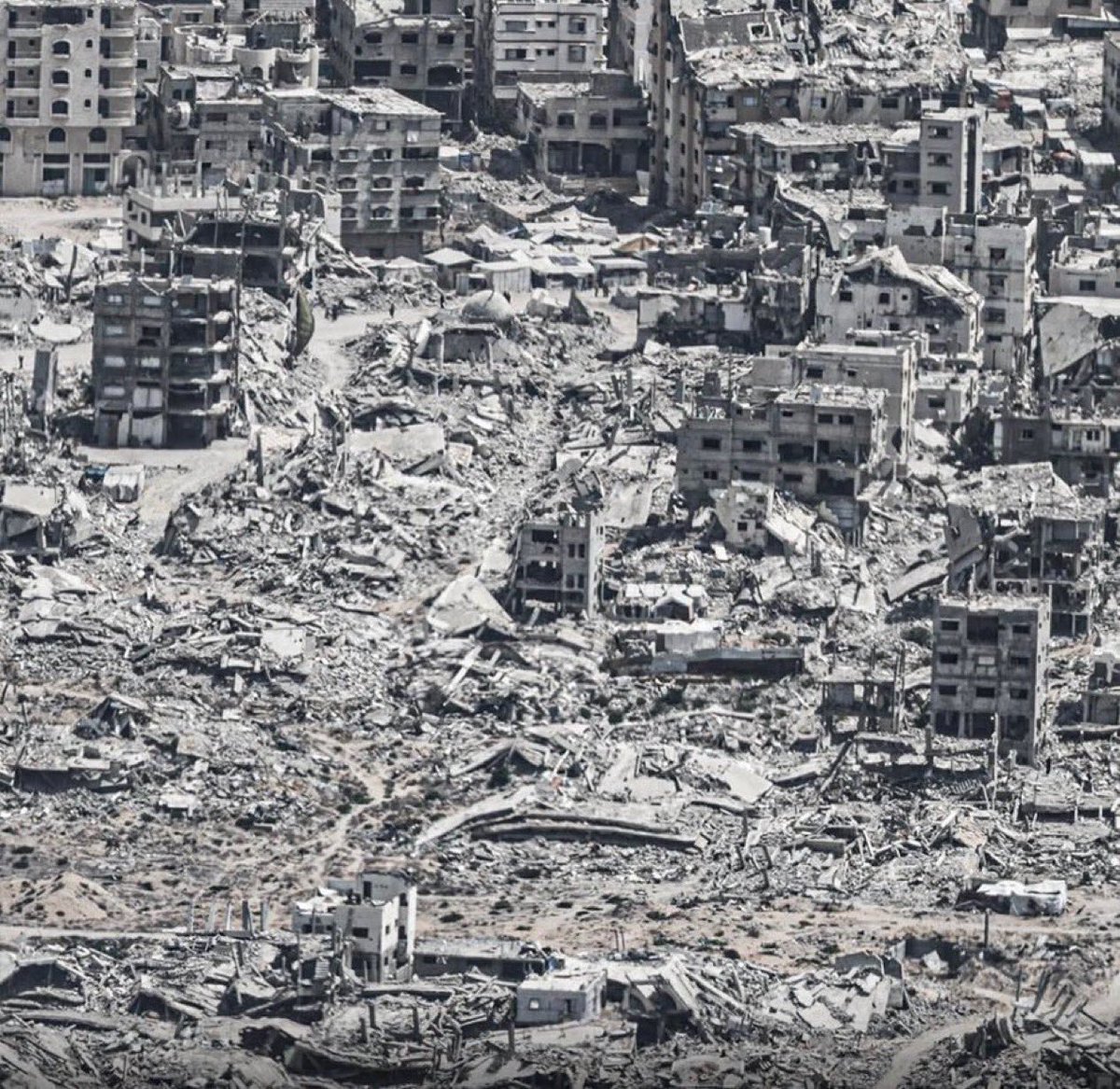 Dr.Motaz🍉🇵🇸 tweet media