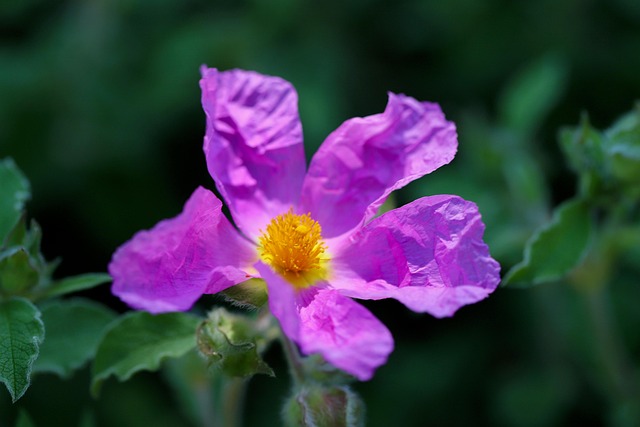 Andrew Davidson tweet media