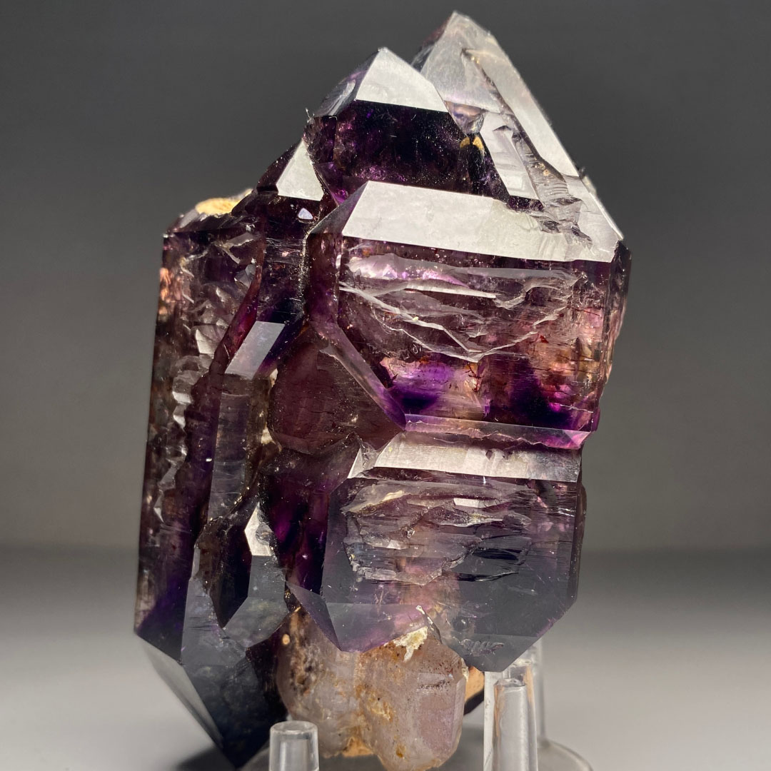 Mr. Fam | לִמֻּדַי tweet media