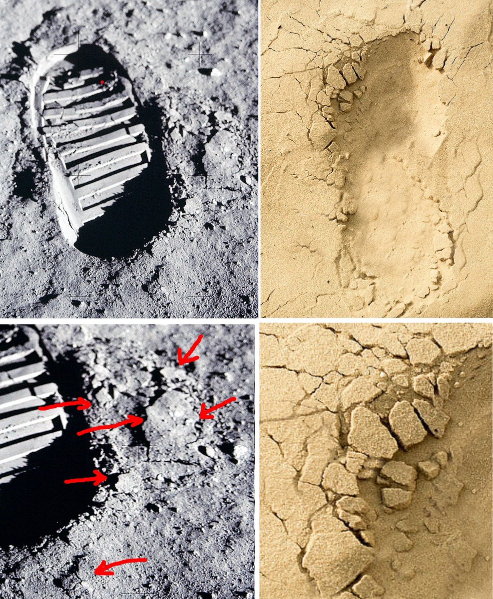 King Edward tweet media