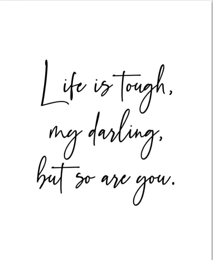 🌹 【J】【a】【m】 ✝️🇺🇸 tweet media