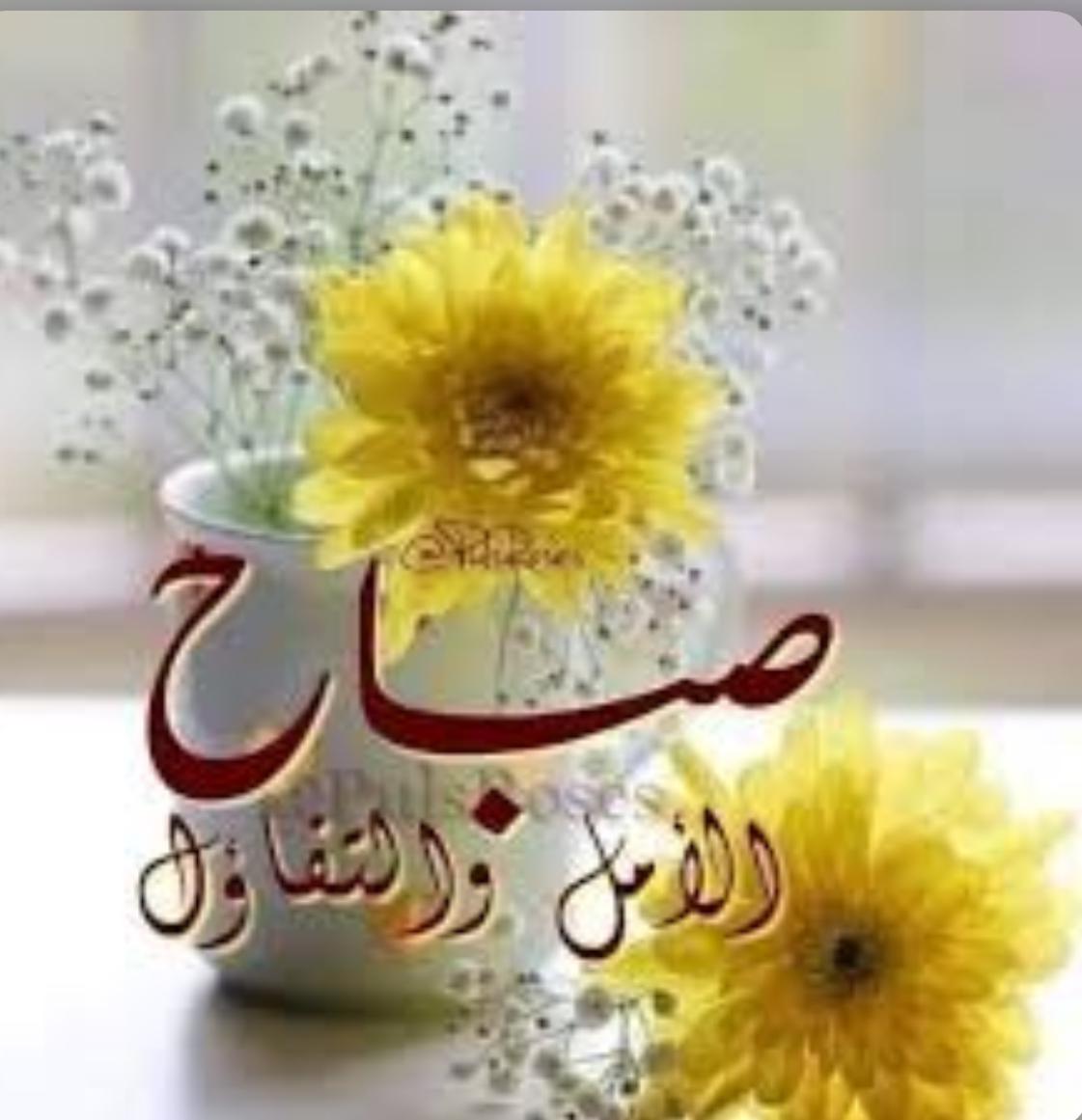 خليل جاسم العيسى ،،،حساب مؤقت2 tweet media