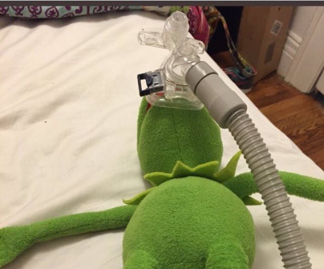 Saturn Babe 🍄🌻 tweet media