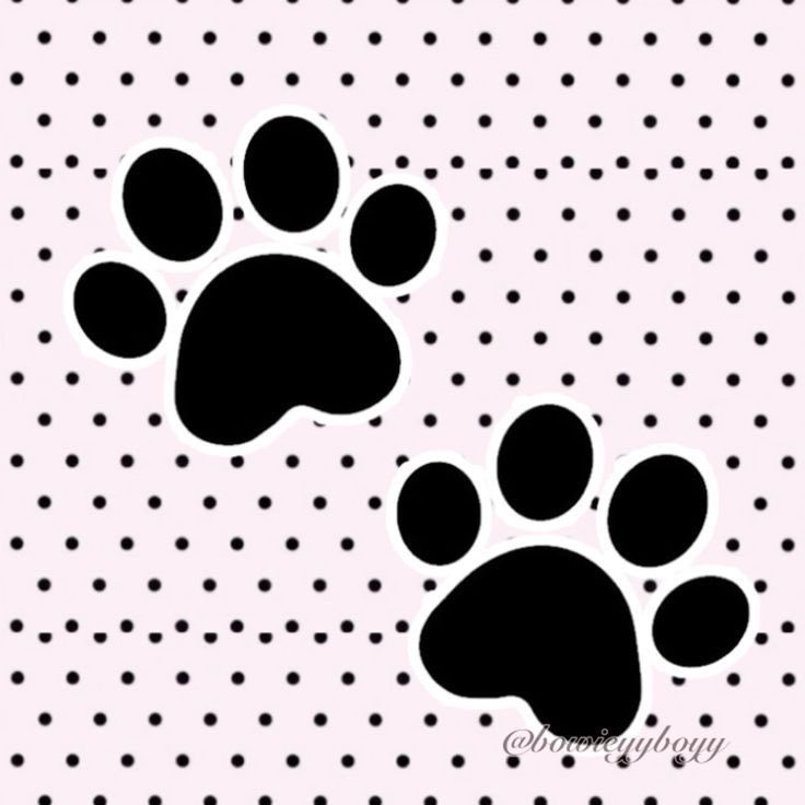 pubby 𐂯 tweet media