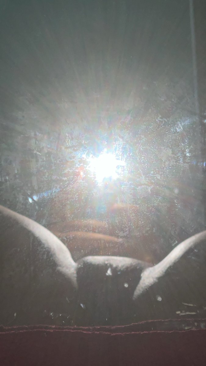 marie👸🏽 tweet media