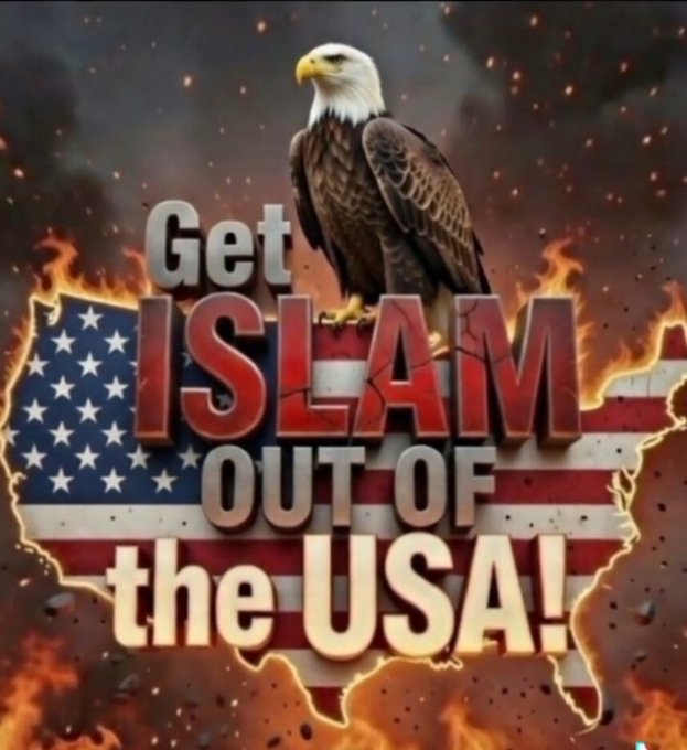 bobwarder tweet media