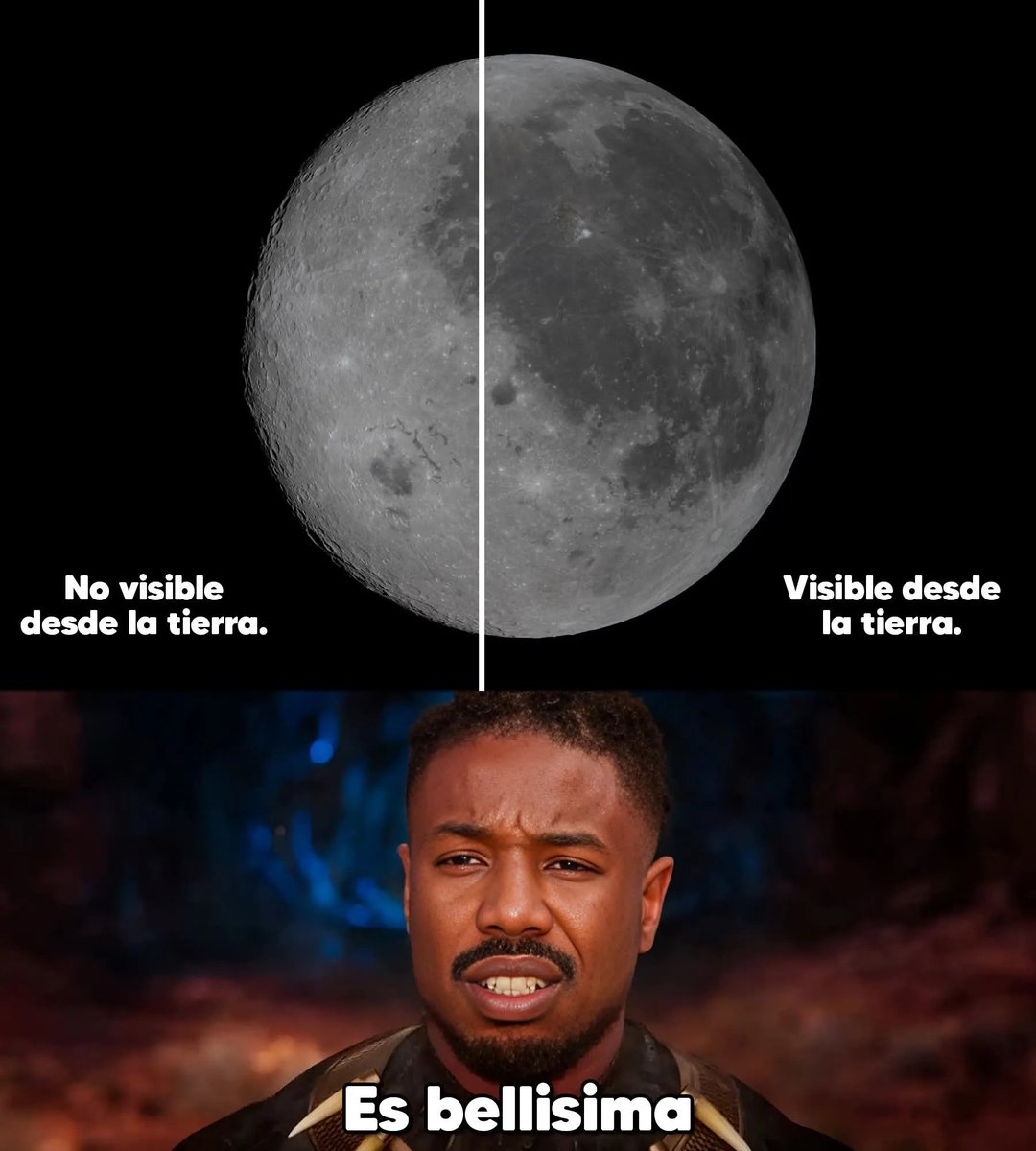 Más Ciencia tweet media