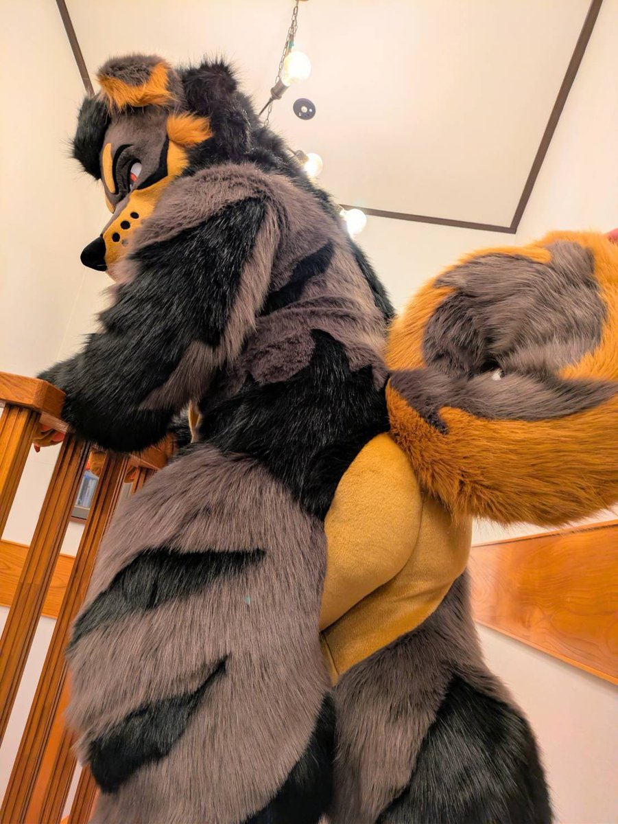 モリンジ（MORINJI） tweet media