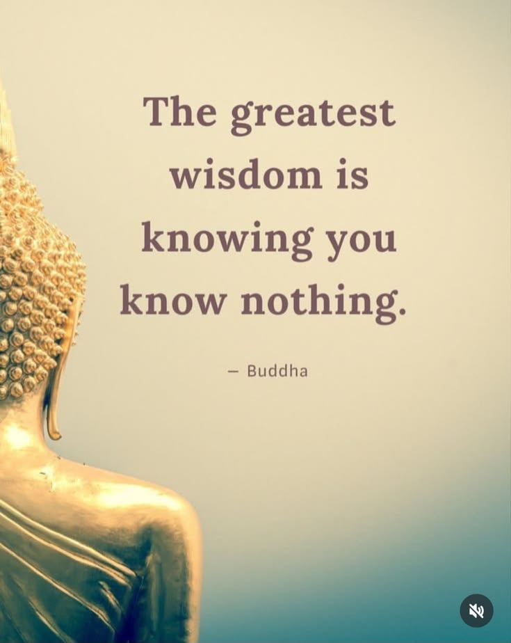 arunbwn's tweet image. Good morning, friends ☀️
True wisdom begins when we accept how much we still have to learn. Stay humble, stay curious. 🙏 — Gautama Buddha
#GoodMorning #Wisdom #StayHumble