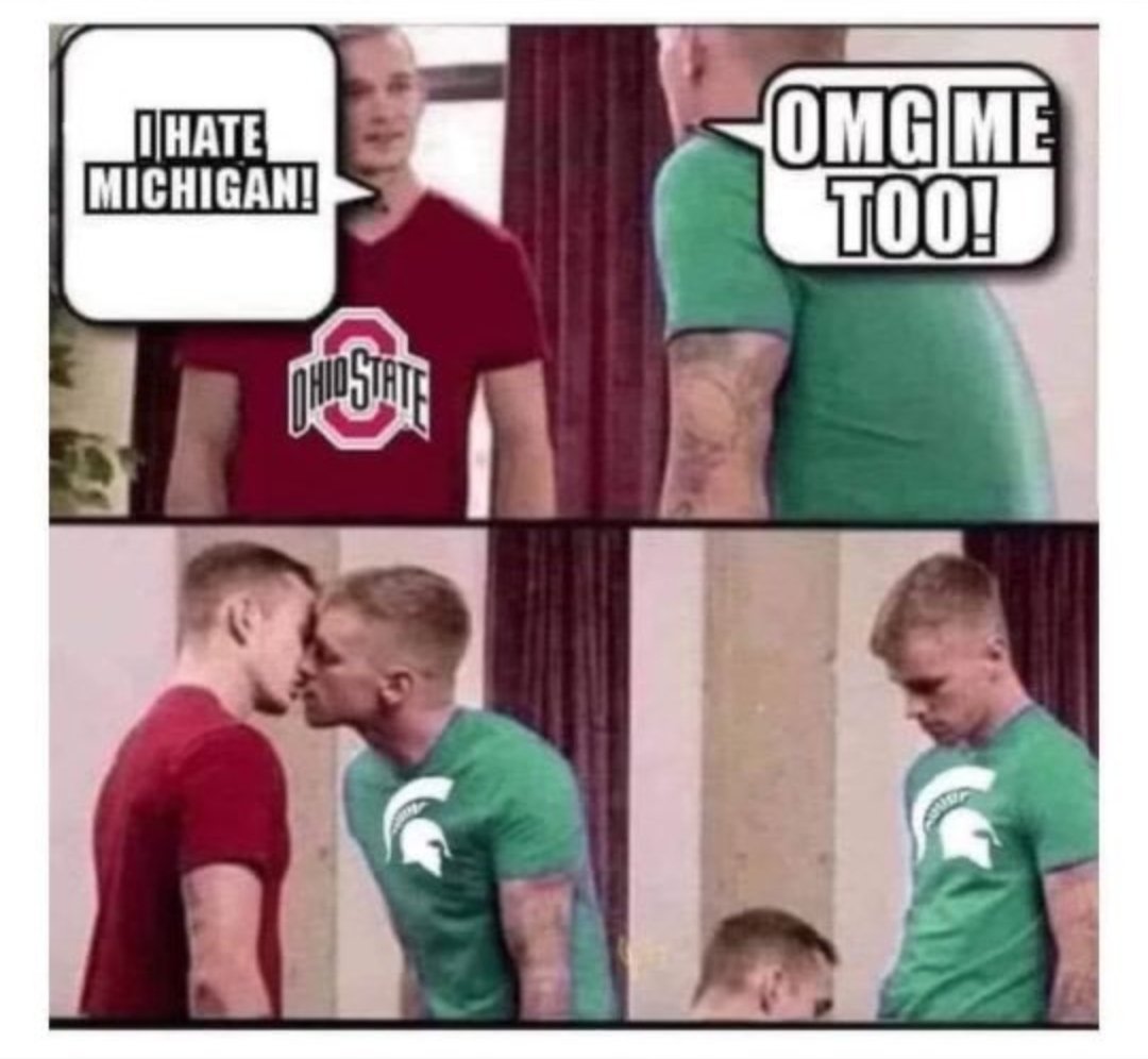 TheStrayHen tweet media